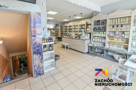Budynek z dwupoziomowym mieszkaniem i lokalem